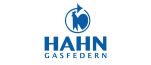 logo HAHN